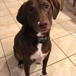 Meet your Posher, Kerry